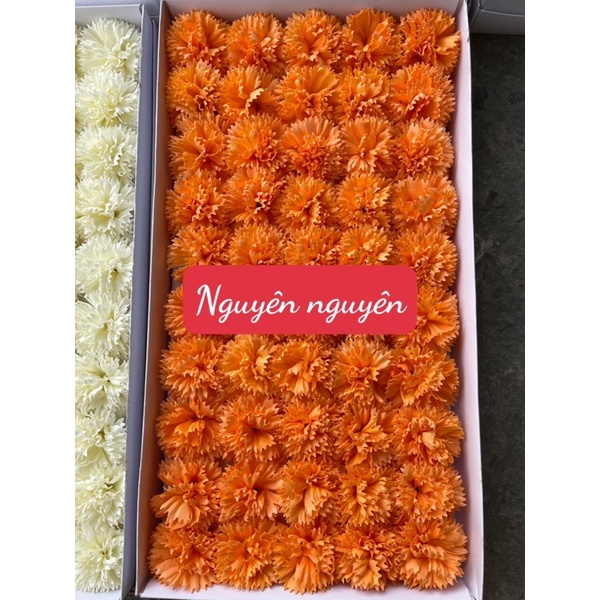 Cẩm chướng xù sáp hộp 50 bông