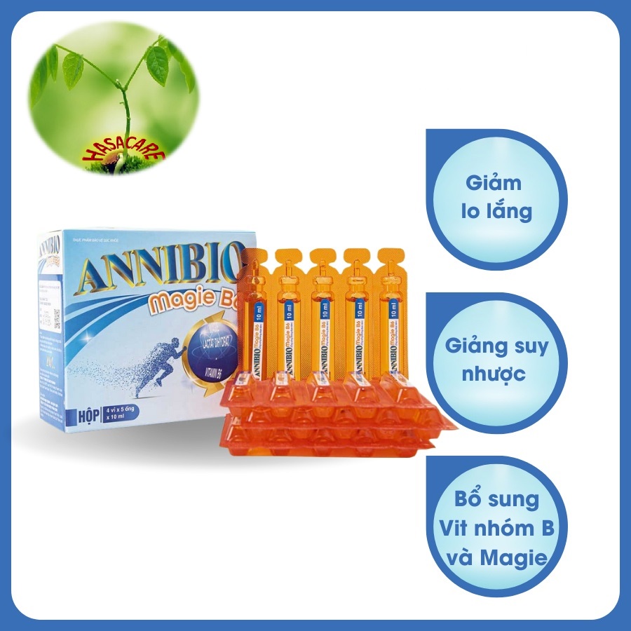 ANNIBIO Magie B6 - Hỗ trợ cải thiện suy nhược thần kinh, hạn chế đau dây thần kinh ngoại biên hộp 20 ống 10ml