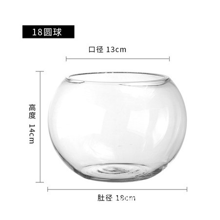 Bình Thủy Tinh tròn siêu trong_Chuyên dùng trồng cây thủy sinh, bể thủy sinh