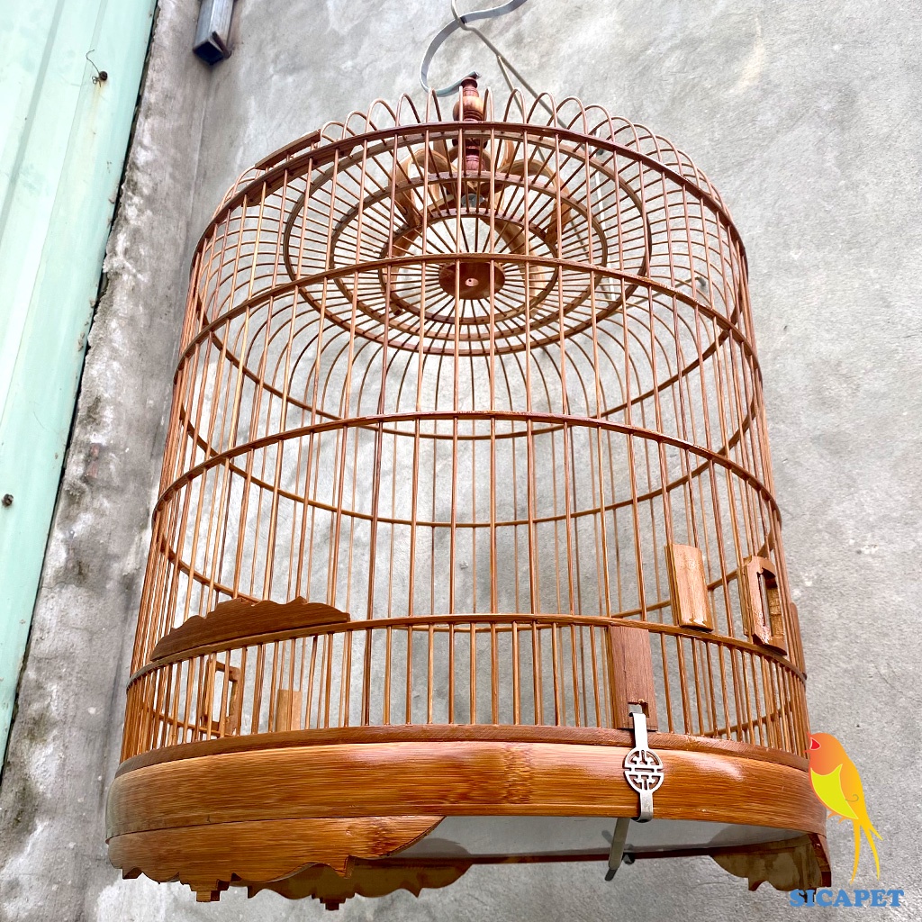 Lồng chim ChíCh Chòe - chim Chòe Than - chim Chào Mào - chim Chòe Lửa, Lồng Chòe Than - Chào Mào đẹp SICAPET