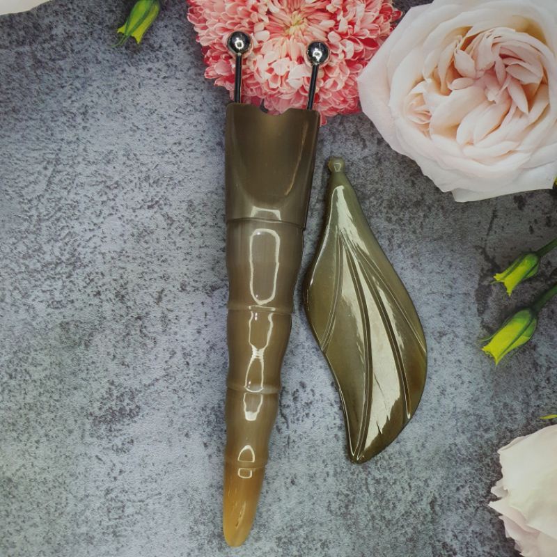 (HOT) Bọ cạp sừng trắng lớn đầu bạc ta nguyên chất 12 li diện chẩn