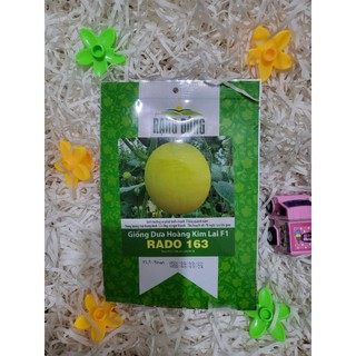 Hạt giống dưa hoàng kim rado 163