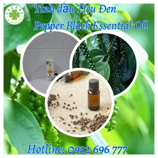 Tinh dầu Tiêu Đen Black Pepper essential oil giúp kích thích tiêu hóa, bảo quản thực phẩm hiệu quả - 10ml/100ml