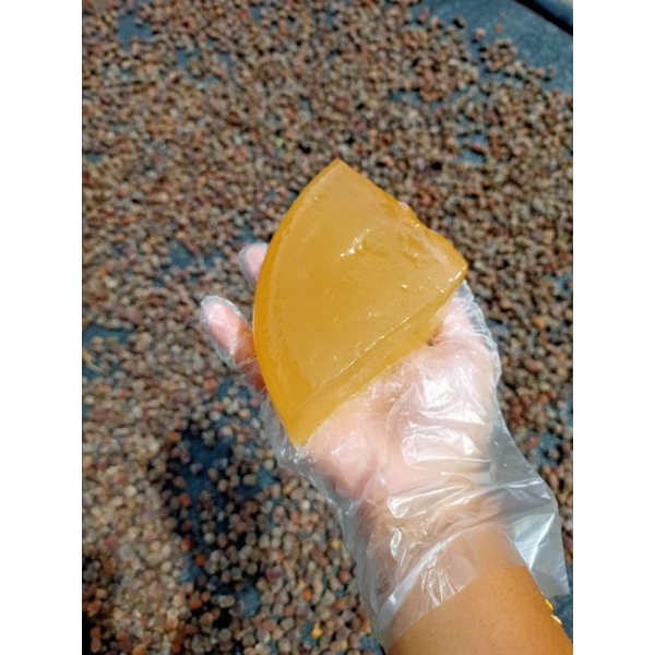 Hạt  thạch mác púp