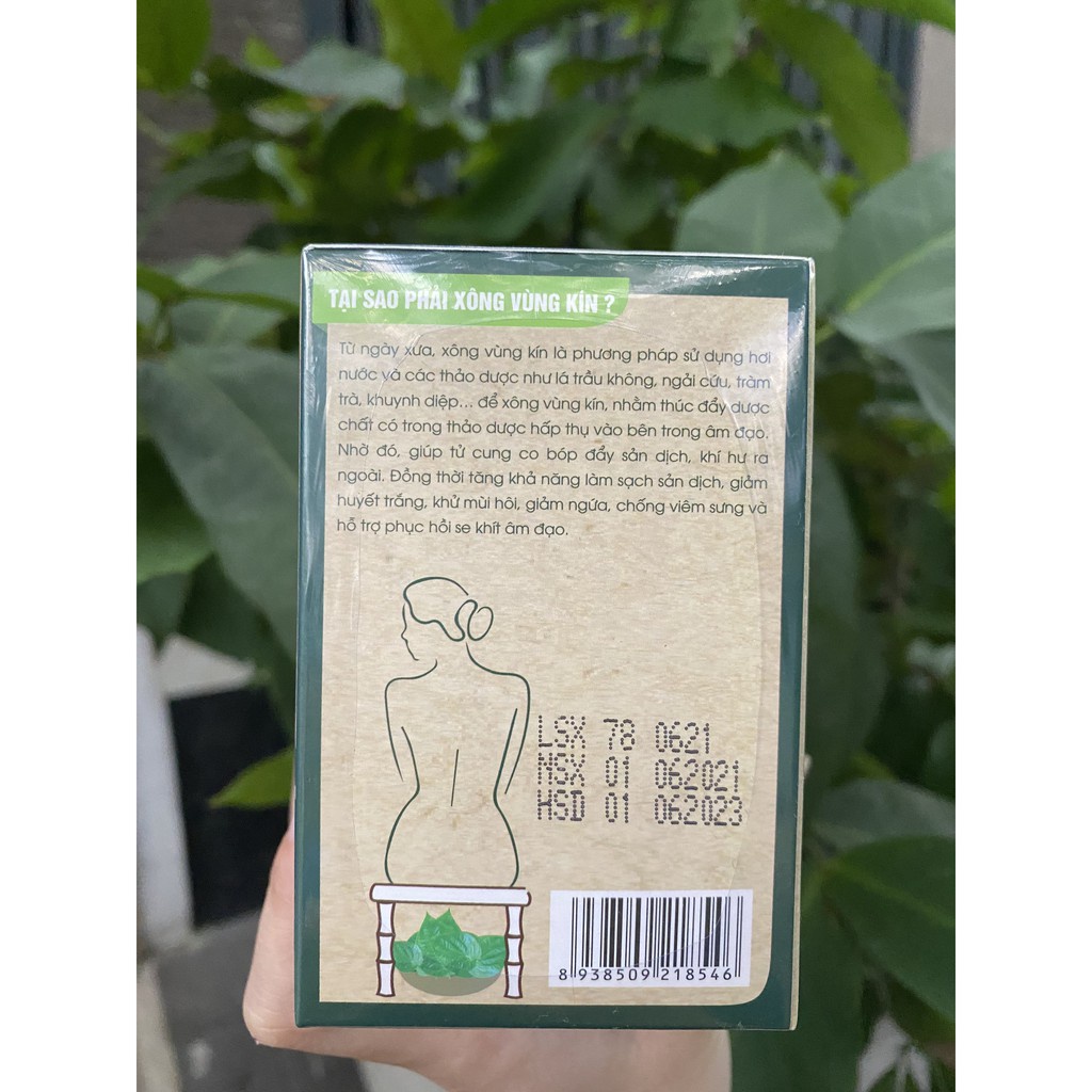 Lá trầu không bảo nhiên 100% tự nhiên, không chất bảo quản.