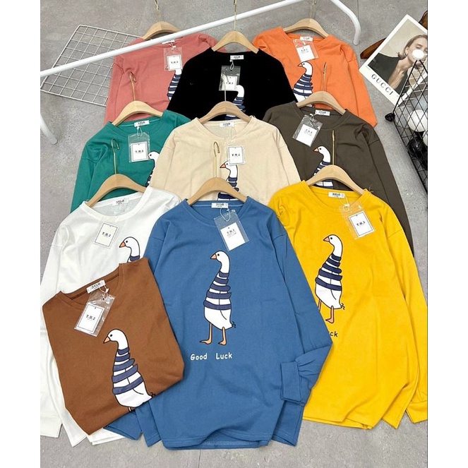 Áo dài tay thu đông,áo sweater thu đông,áo cotton khô Quảng châu from rộng freesize 75kg ( ảnh thật tưk chụp)