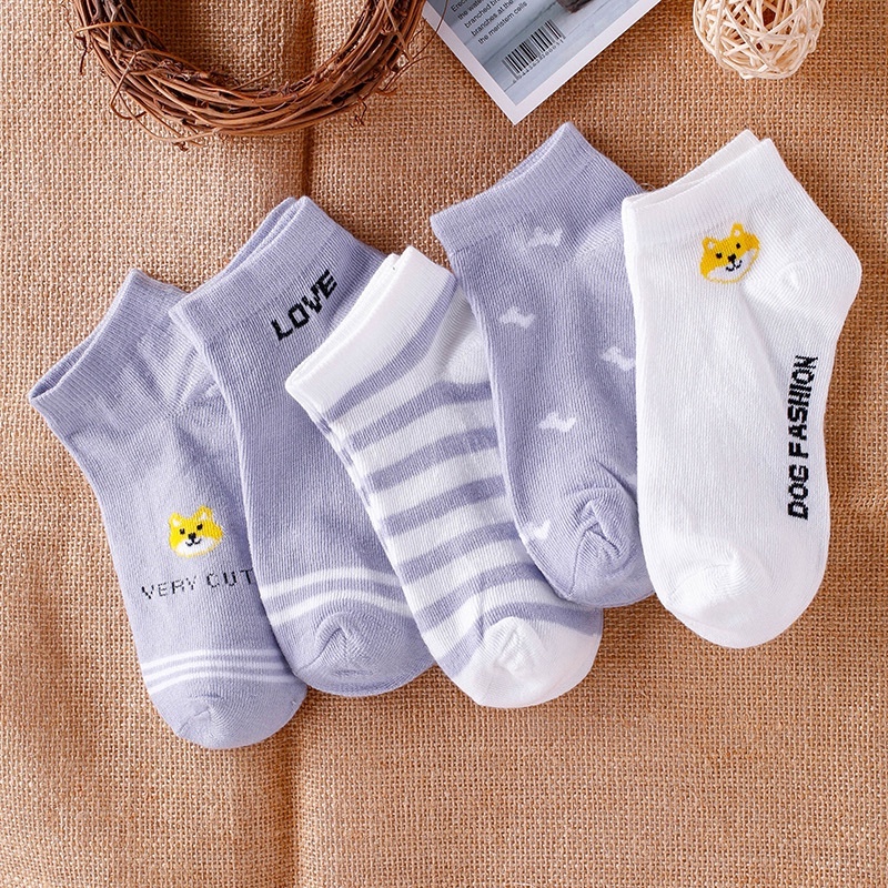 Combo 5 đôi vớ nữ cổ ngắn ROBANA dễ thương phong cách Hàn Quốc có túi kèm
