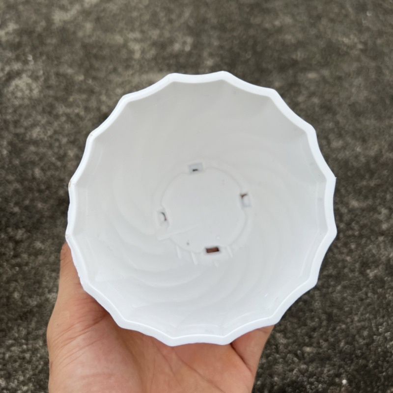 (Combo 10 chậu) Chậu nhựa trồng cây hoa,sen đá màu trắng hoạ tiết xoắn ốc lạ mắt,bền đẹp