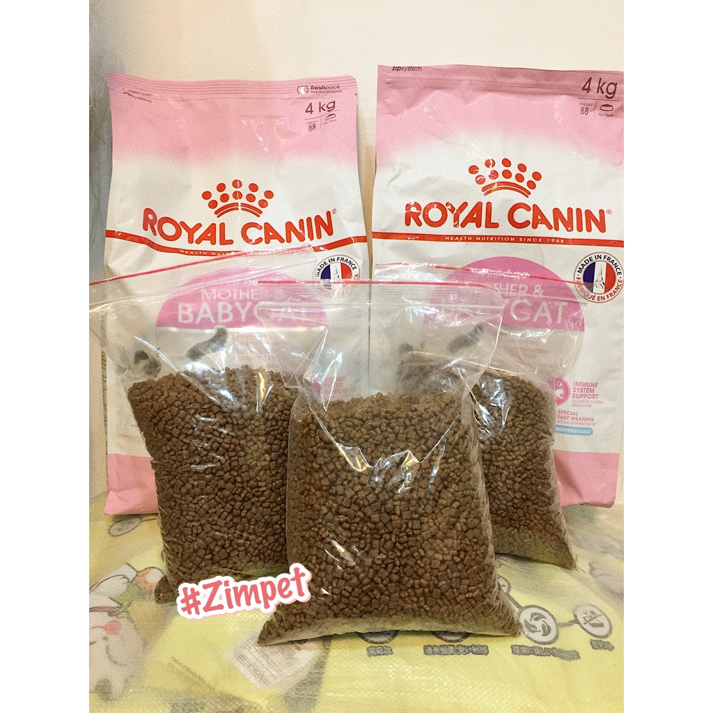 Hạt Royal Canin cao cấp cho mèo BabyCat Kitten Indoor FIt 32 - Hàng chính hãng