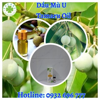 Dầu mù u Tamanu oil - 1000ml