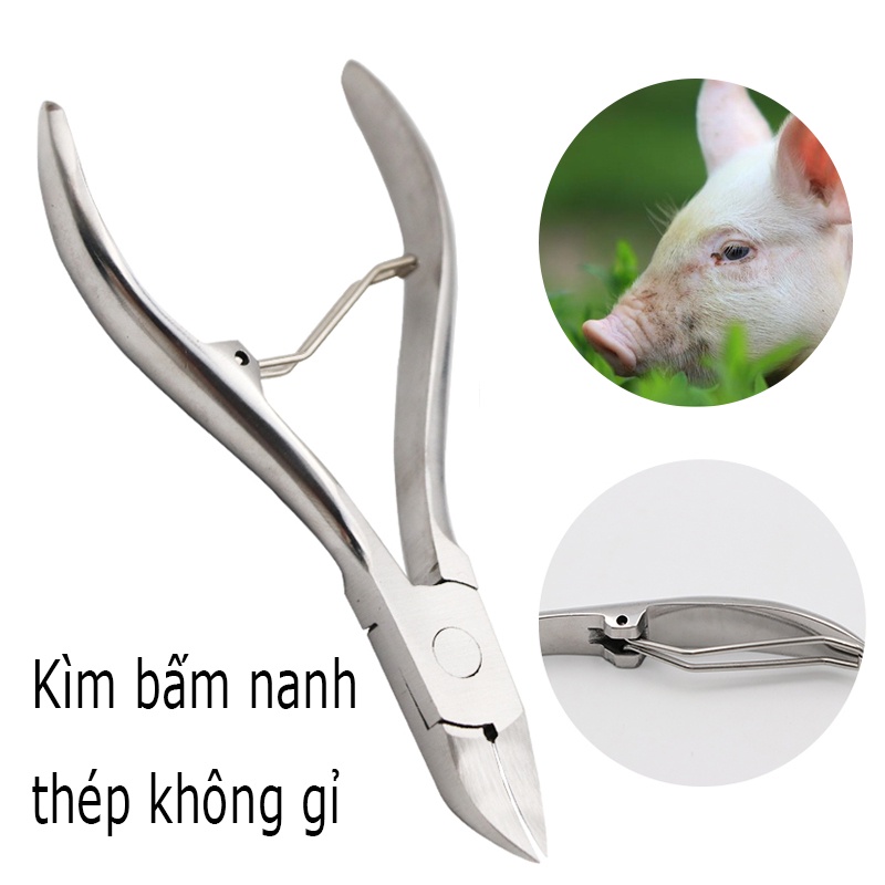 10cm Kìm bấm nanh cho heo thép không gỉ sale tận gốc 49k