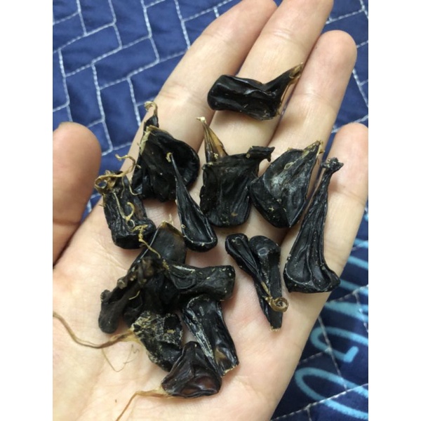 Mật kỳ đà rừng