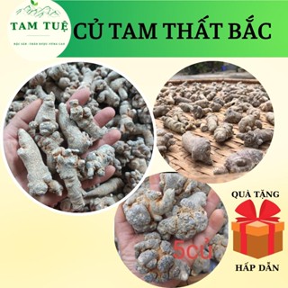 Củ tam thất bắc ,tam thất bắc vùng cao Hà Giang cam kết  hàng chuẩn 100% thảo dược vùng cao