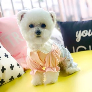 Bộ 4 chân liền cho thú cưng