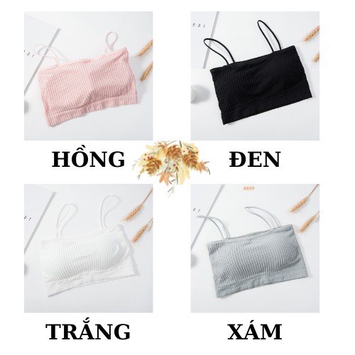 Áo Bra Nữ Cotton Gân Tăm 2 Dây Có Mút Ngực Trẻ Trung ANA 809