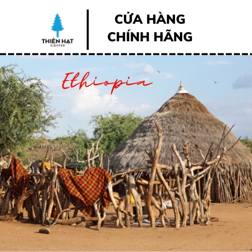 Cà phê nhân xanh ETHIOPIA SIDAMO G4-1kg