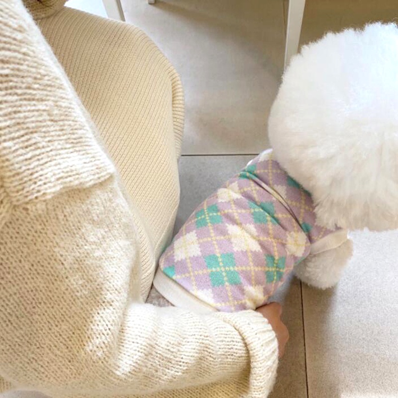 Áo len họa tiết quả trám màu tươi dành cho thú cưng