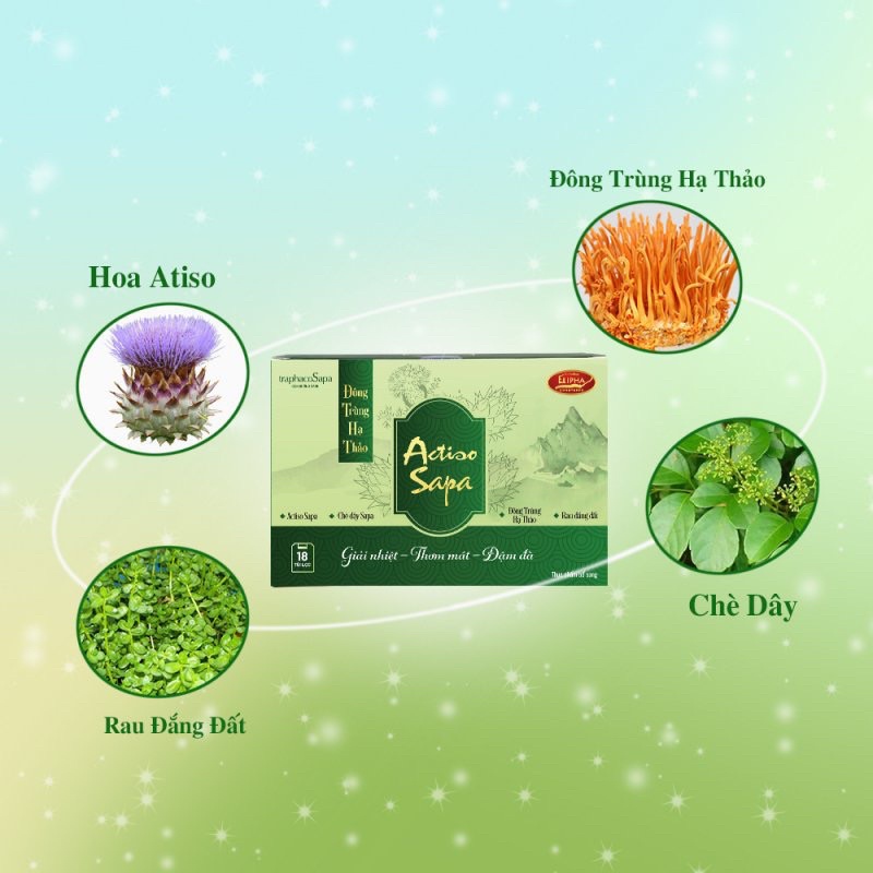 Trà túi lọc Atiso Đông Trùng Hạ Thảo