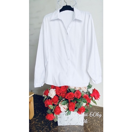 Áo vin trắng dài tay