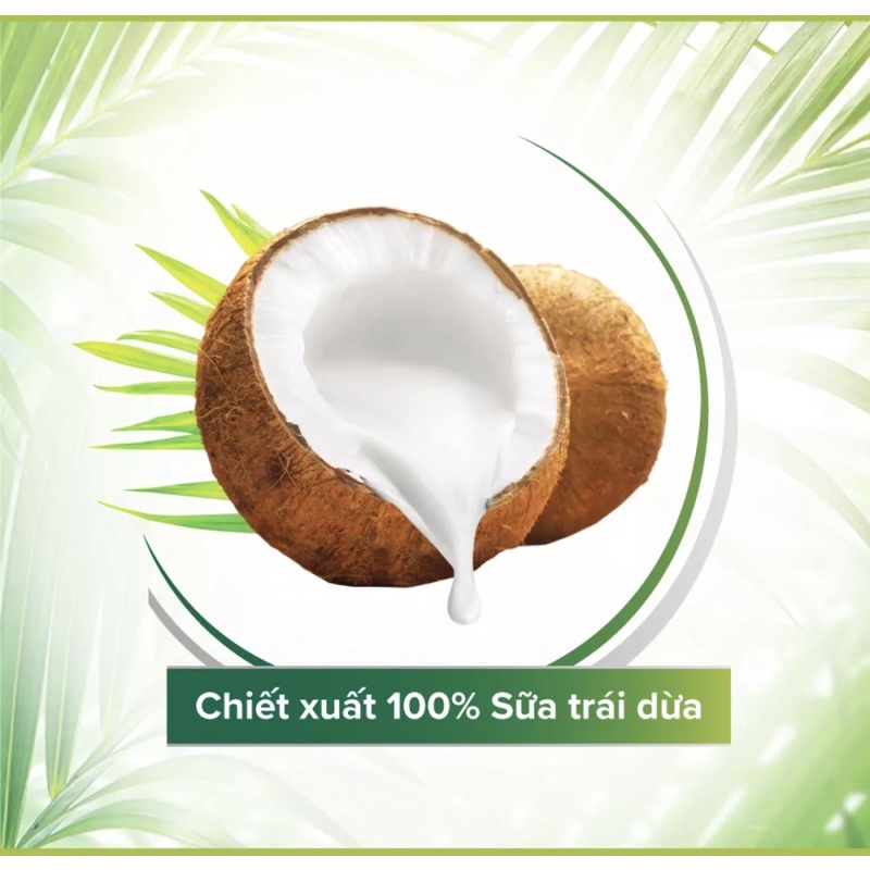 Dây gội không cần xả Palmolive