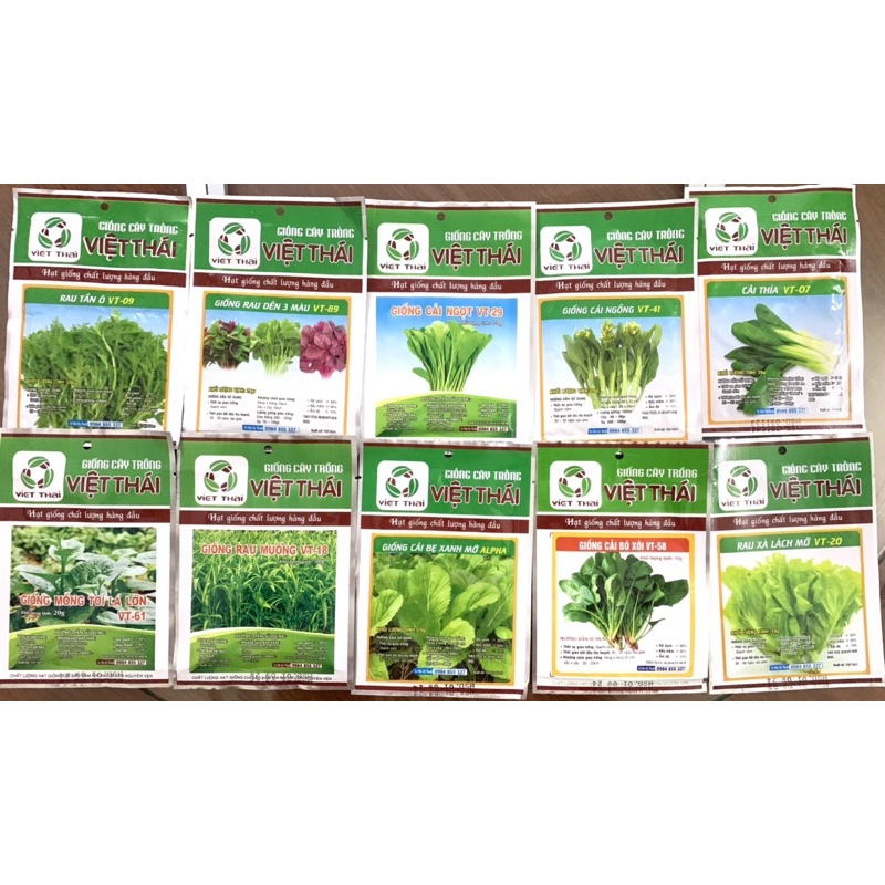 COMBO 10 GÓI HẠT GIỐNG RAU ĂN LÁ ĐỦ LOẠI  gieo trồng quanh năm