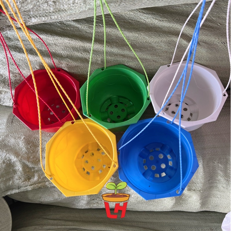 Chậu nhựa trồng cây