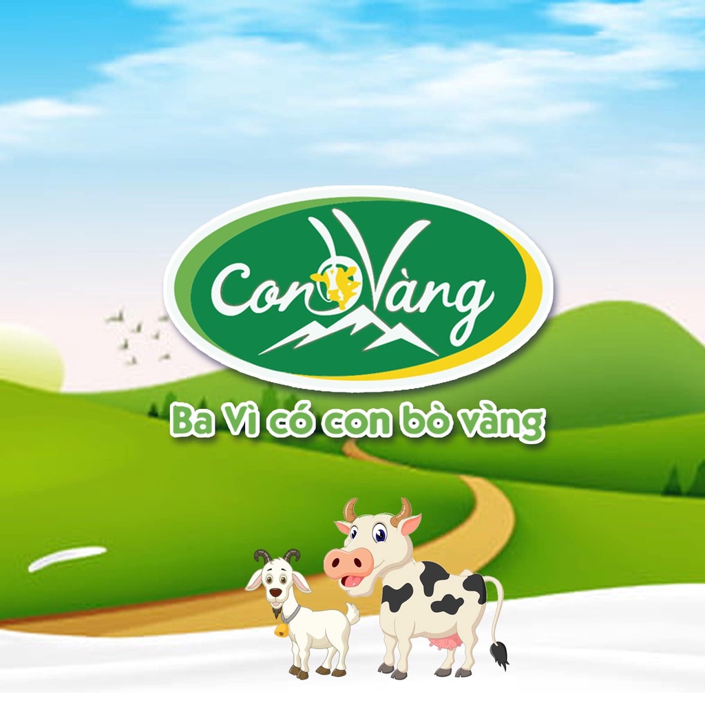 Đặc Sản Bánh Sữa Nguyên Chất Con Bò Vàng Ba Vì - Bán Chạy TOP 1