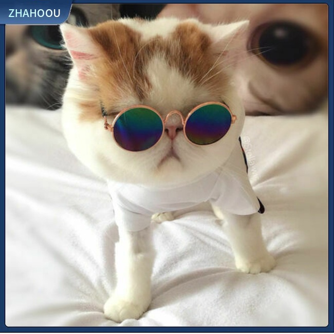☃Nhà☃ Kính Mát Hình Thú Cưng Đeo Kính Mát Ngộ Nghĩnh