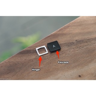 Keycap/Phím lẻ Laptop macbook 2016 đến 2019