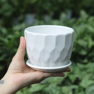 Chậu sứ tráng men trắng kèm dĩa lót