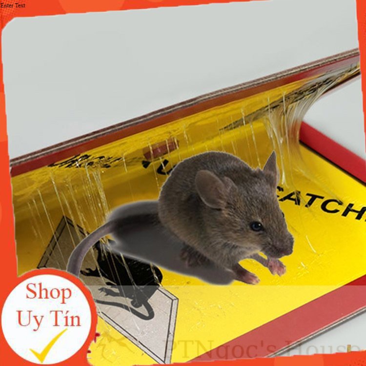 Keo Dính Chuột Keo Bẫy Chuột Siêu Dính Có Thể Tái Sử Dụng