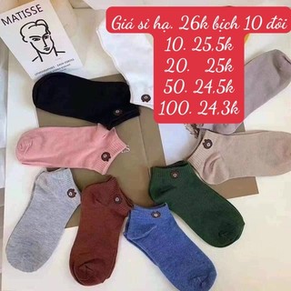 Set 10 tất gấu người lớn