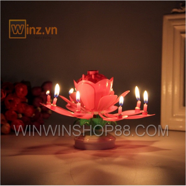 Nến sinh nhật nở Bông Hoa tạo BẤT NGỜ khi đốt lên phát nhạc  và Bung cánh