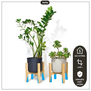Chân/Đôn Gỗ Đặt Chậu cây Decor - Kệ Gỗ Để Chậu Hoa CCG01-CX