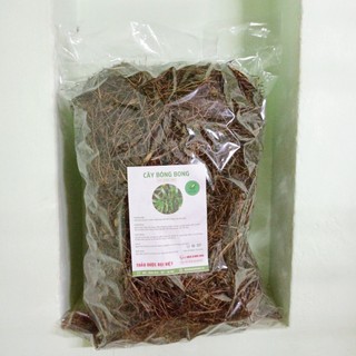 Cây Bòng Bong (Hải Kim Xa)  1KG - DV155