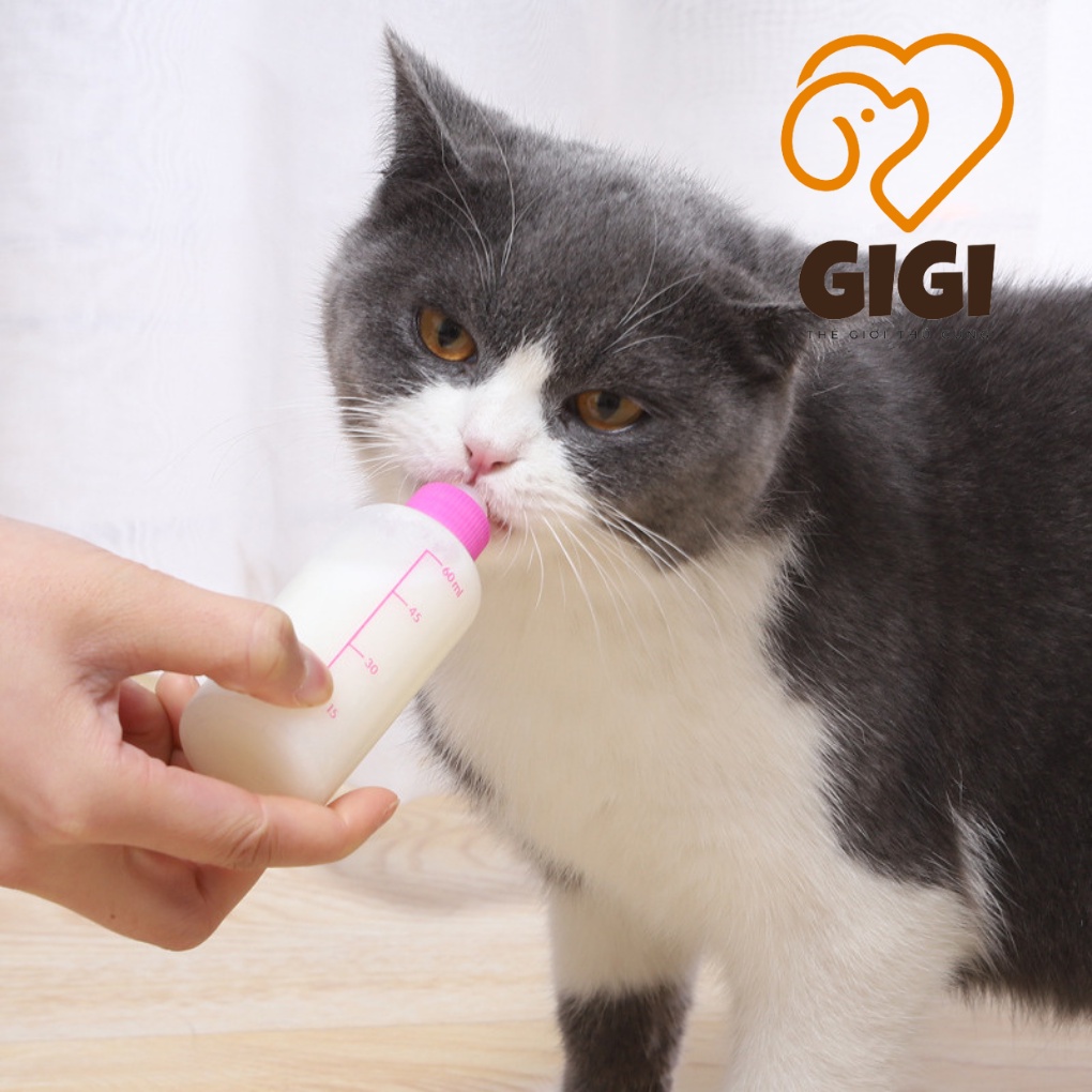 Bình ti chó mèo 50cc bú ngoài có núm vú mềm silicon cho thú cưng sơ sinh uống sữa hoặc thuốc - GiGi Pet Shop