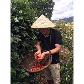 Cà phê Abc hạt Arabica Đà Lạt