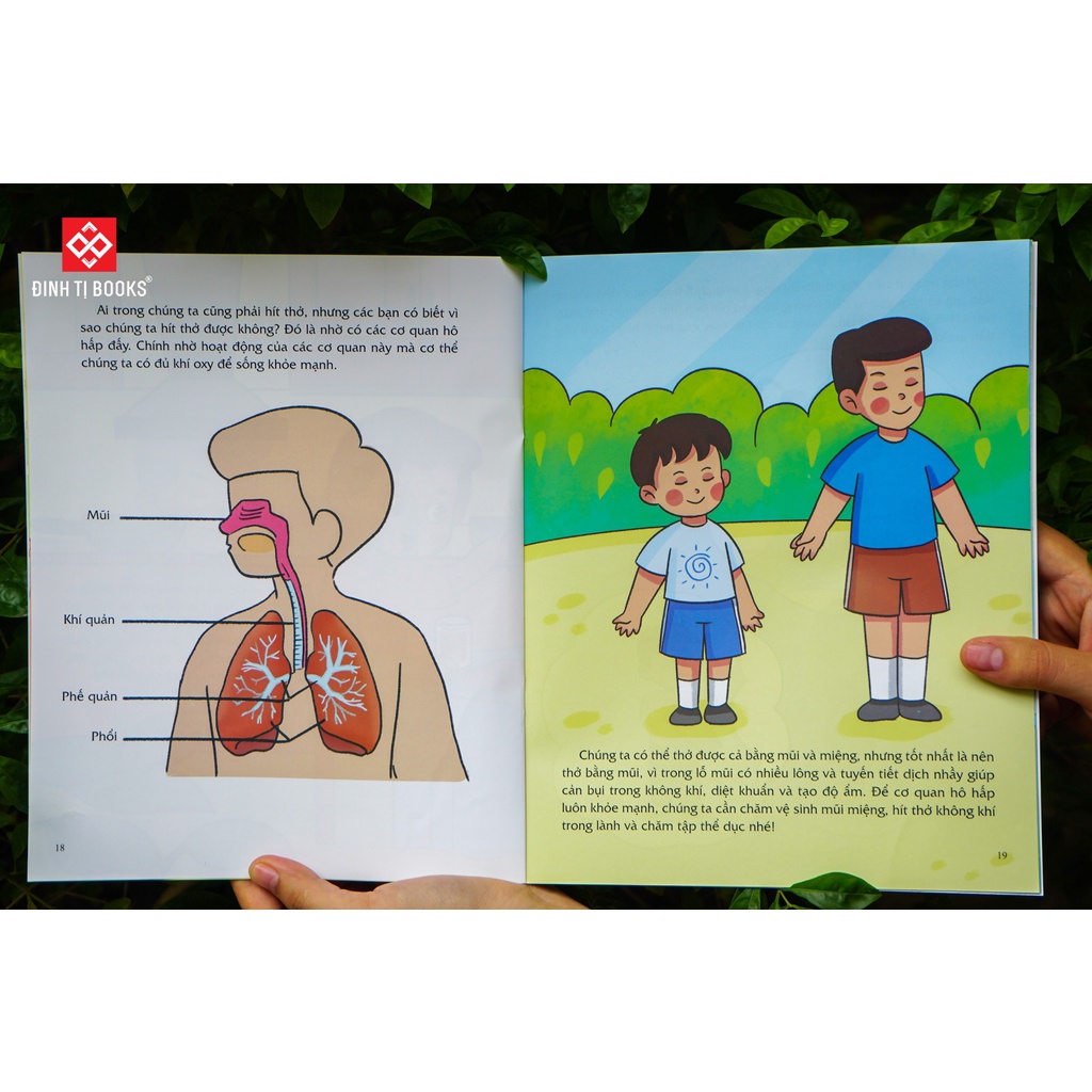 Sách - Giáo dục giới tính và nhân cách dành cho bé trai ( Bộ 4 cuốn + lẻ tùy chọn)