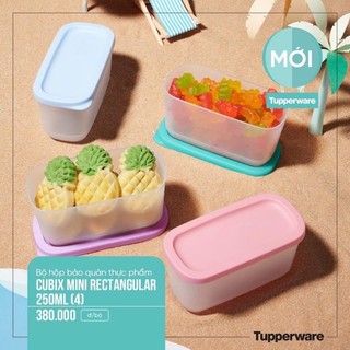 Hộp trữ mát 110ml / 130ml / 250ml Tupperware, Hộp làm sữa chua, Hộp đựng thức ăn dặm, Hộp nhựa nguyên sinh chính hãng
