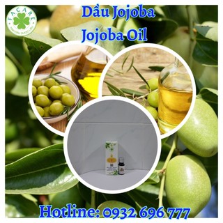 Dầu Jojoba – Jojoba Oil - 500ml