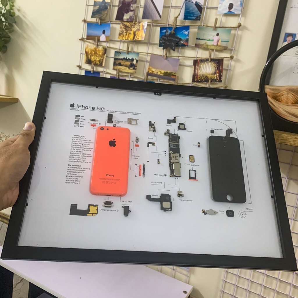 Tranh tiêu bản có sơ đồ hoặc tranh tiêu bản iPhone 5C hoàn thiện cực đẹp