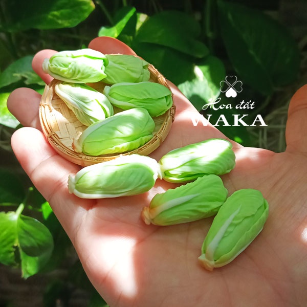 Mô hình Cải Thảo Mini - Rau Củ Quả Mini 1/12