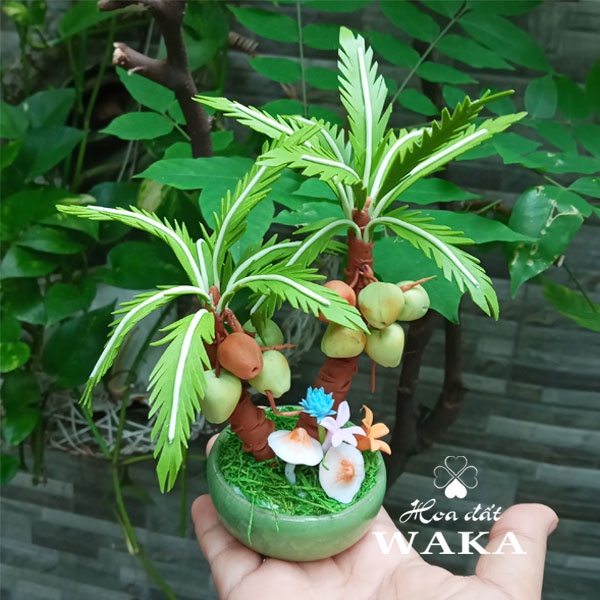 Hoa Đất Sét Mini-Cây Dừa