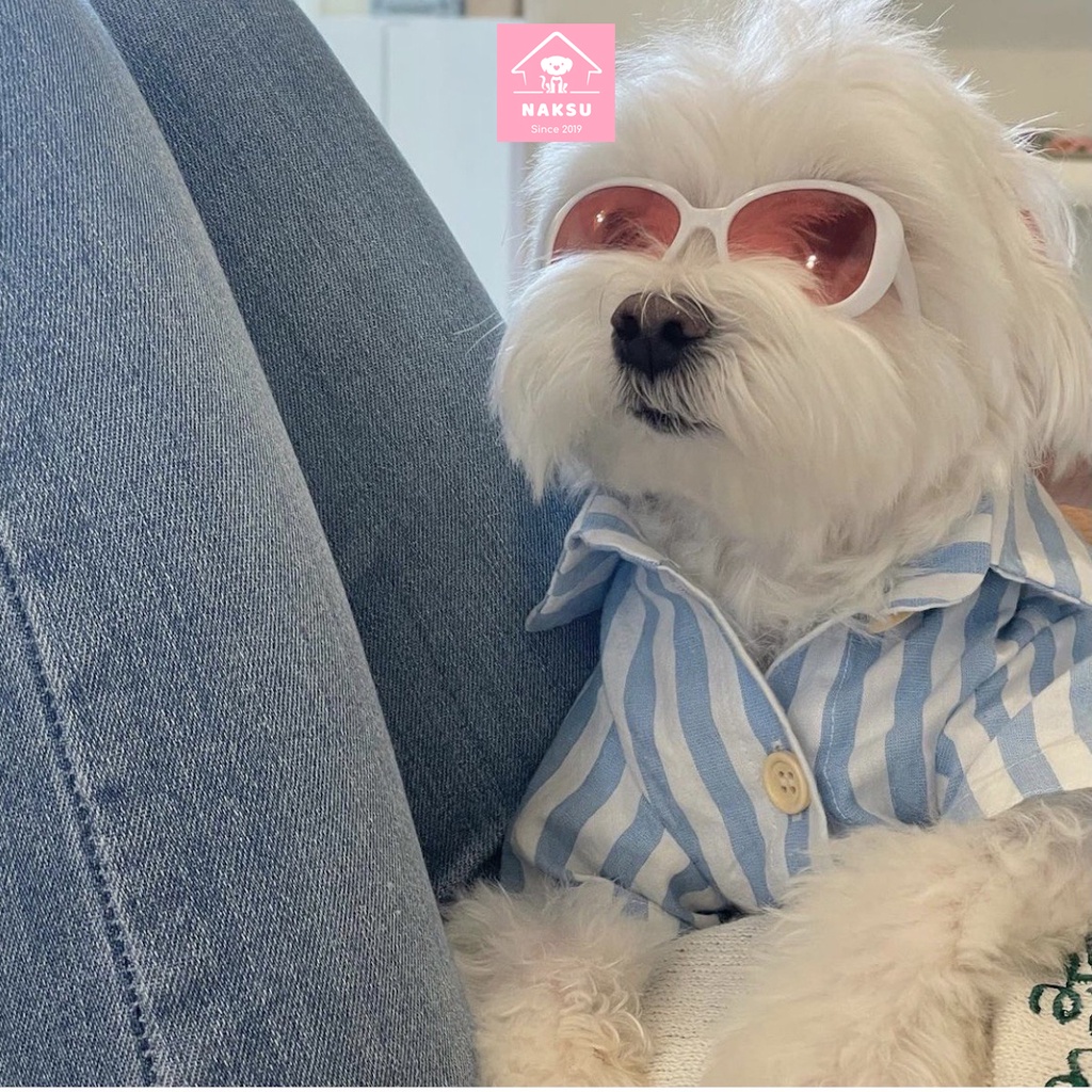 Mắt Kính Cho Chó Mèo Đi Bơi , Mắt Kiếng Cho Thú Cưng Sành điều Naksu