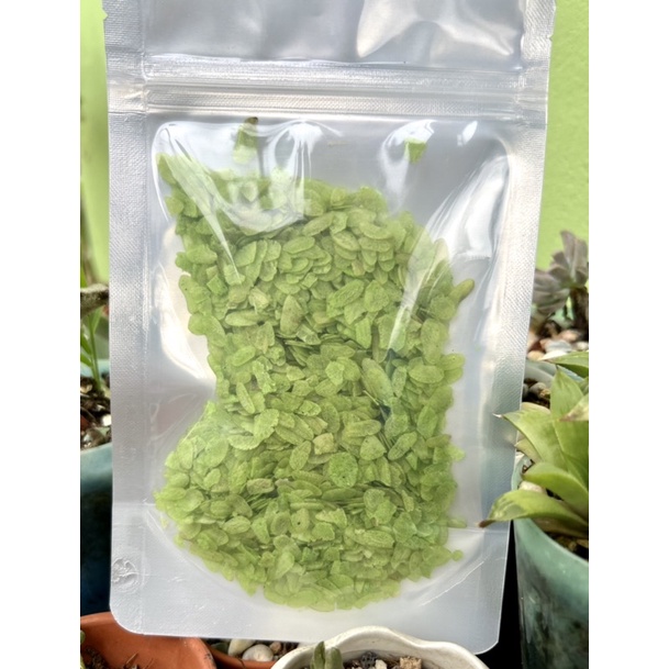 Yến mạch xanh, Thức ăn hamster