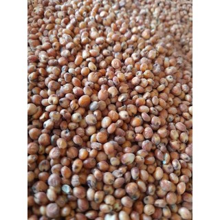 Hạt bo bo đỏ 1kg
