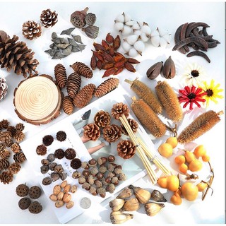 (100% Natural) Quả thông khô, Lá Khô, Vòng Cây Đài Sen Khúc Gỗ Mộc trang trí chụp ảnh