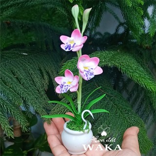Hoa Đất Sét Mini- Địa Lan 12cm