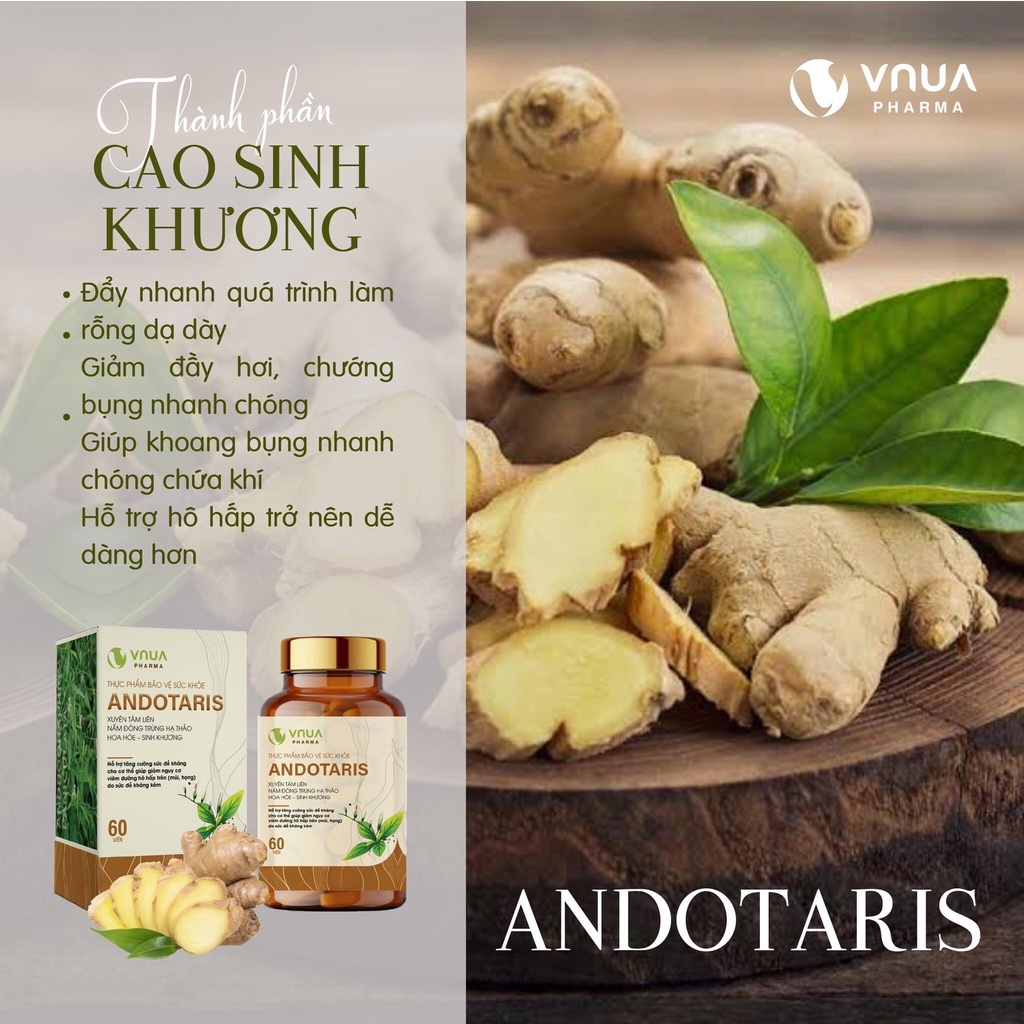 Viên Uống ANDOTARIS, Tăng Cường Sức Khỏe Cho Cơ Thể, Giảm Nguy Cơ Đường Hô Hấp - Hộp 60 Viên [ Chính - Hãng - 100% ]