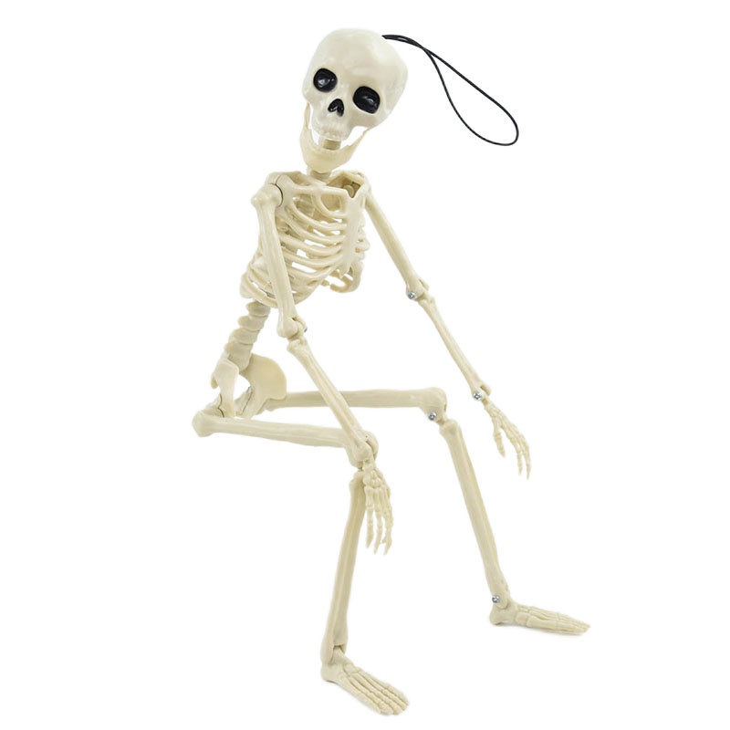Mô Hình Bộ Xương Người Bằng Nhựa Tăng Chiều Cao 40cm Trang Trí Halloween